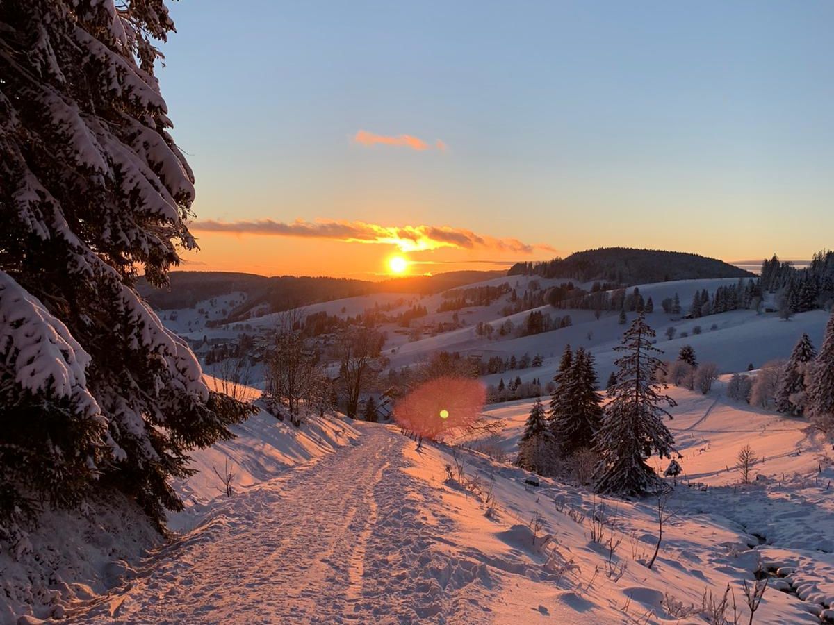Winter in Todtnauberg